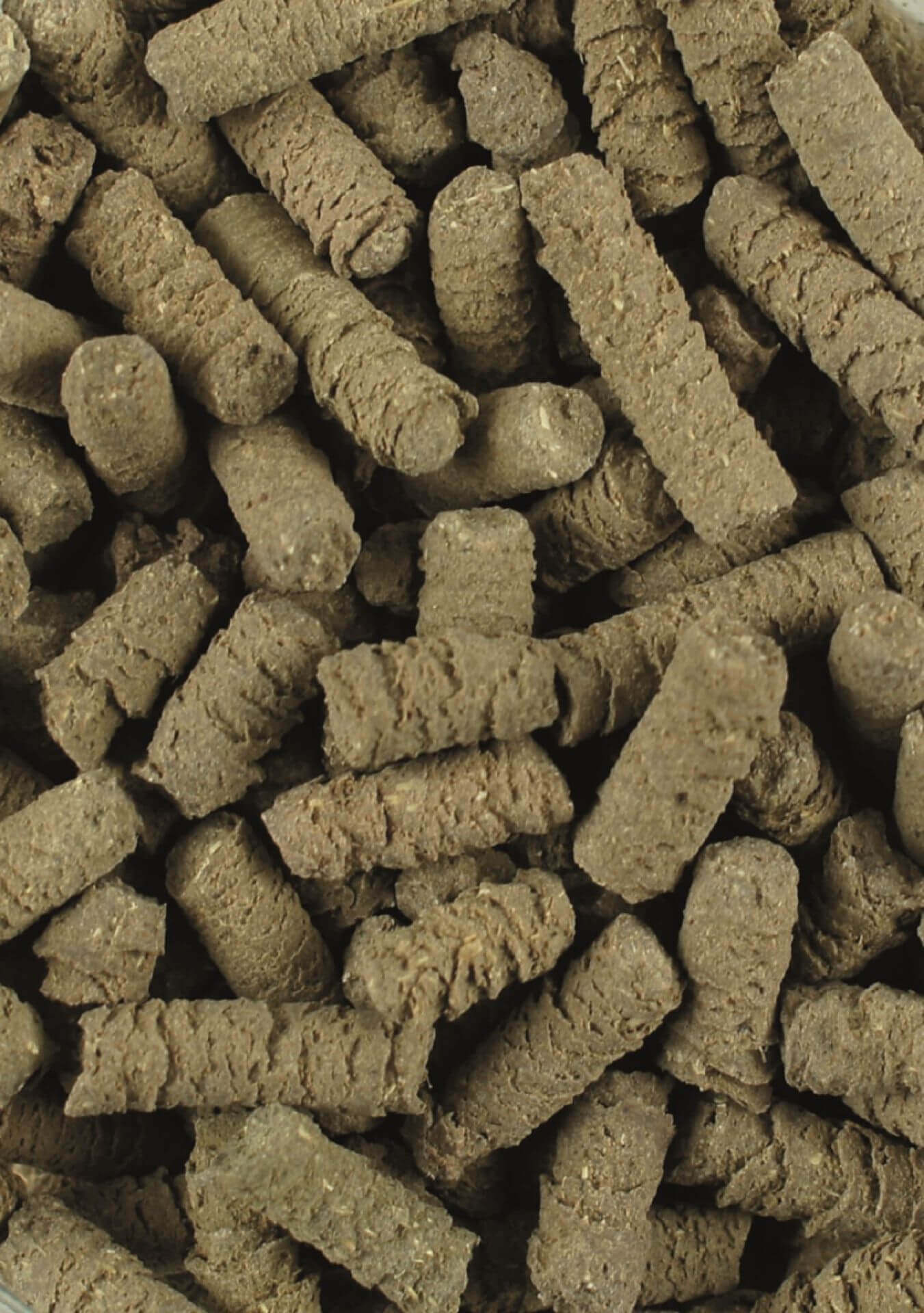 lexa_teufelskralle_greemillaa