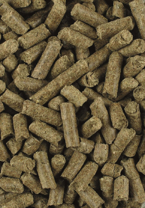 lexa_teufelskralle_ingwer_greemillaa